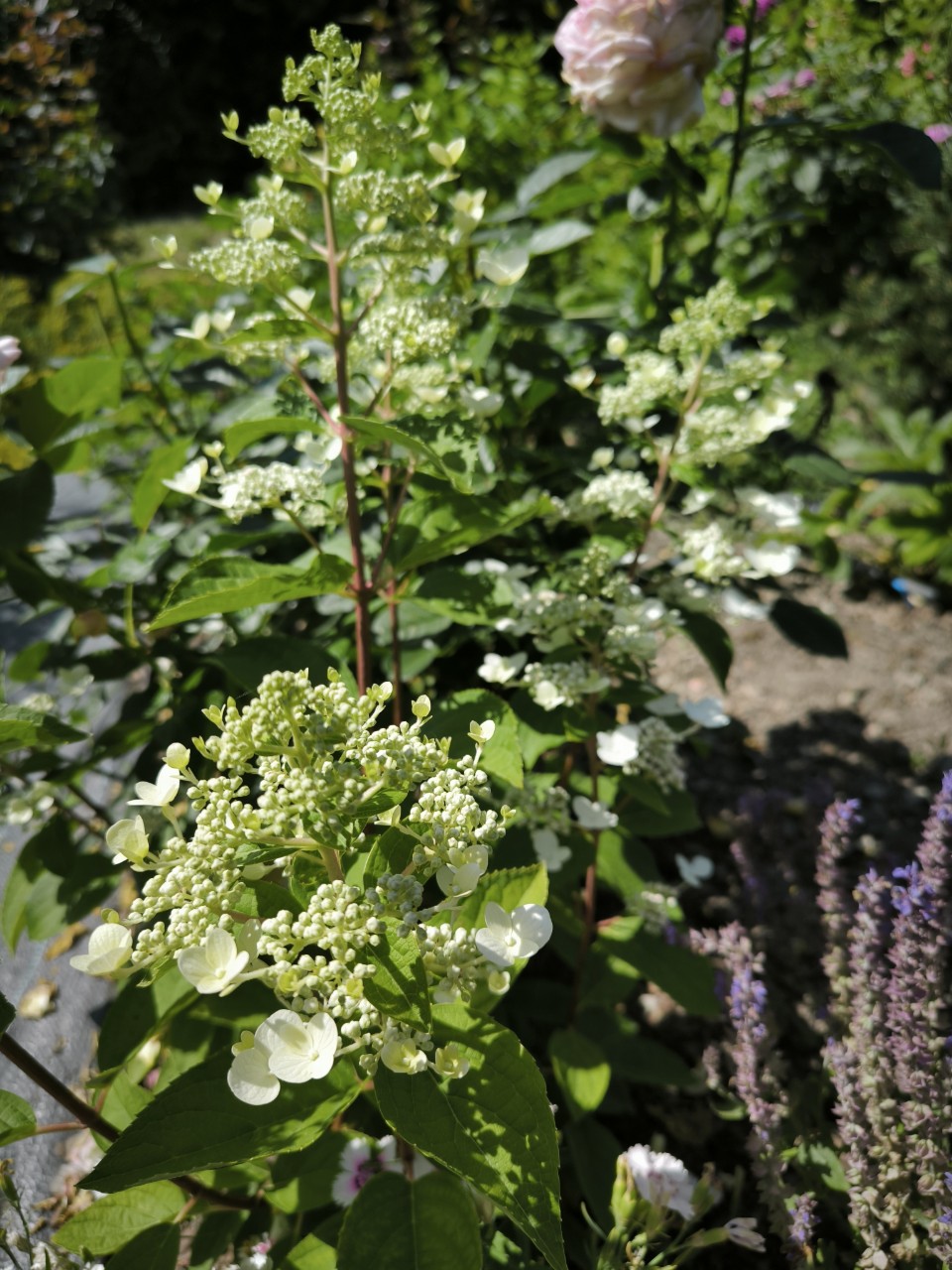 Светлана Гуляева в LOOKY — фото 3