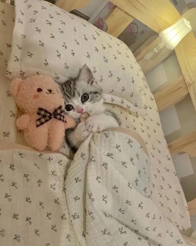 alaa_.elmasry в LOOKY. . 🥰😍🤩❣