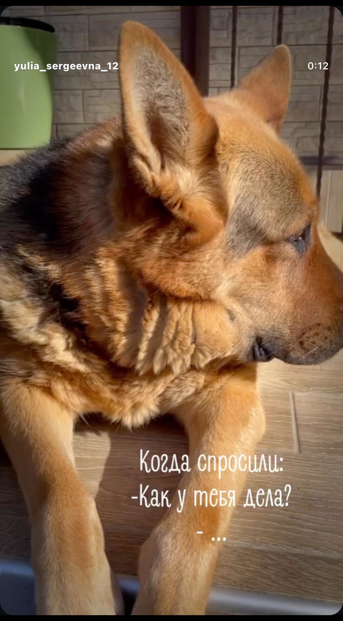  в LOOKY — А вы как поживаете?🤣