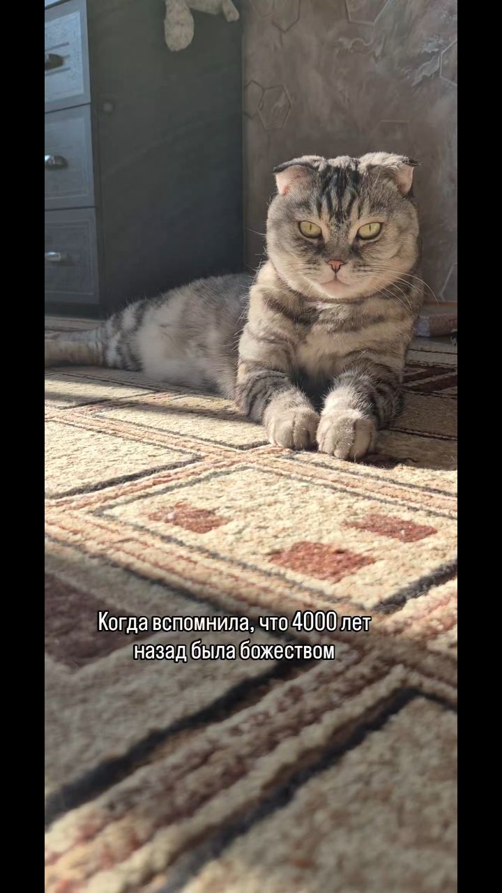 Мышка Муся и Маруся в LOOKY. . 