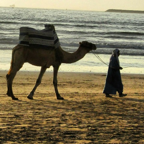 Karim в LOOKY. #morocco,#moroccan,#morning. [#sunset](sunset) #m...