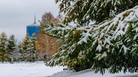 refmeh71 в LOOKY. #снег,#осень,#осень2023,#первыйснег,#челябинск,#74. Челябинск., снежная
...