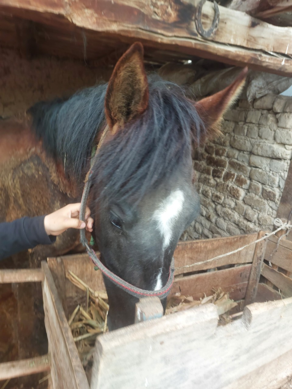 Looky_1700155731053 в LOOKY — публикация
