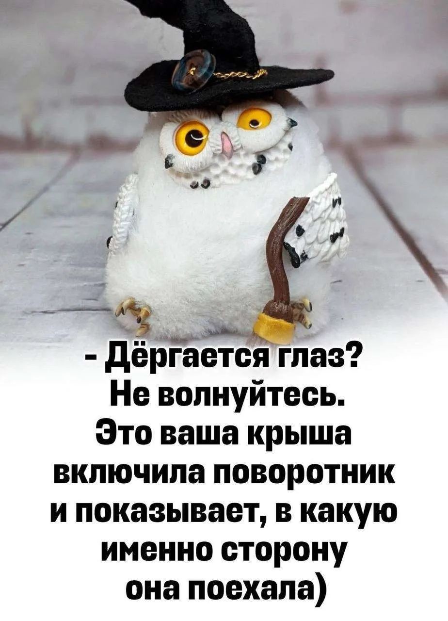 Tatiana Ubushaeva в LOOKY — публикация