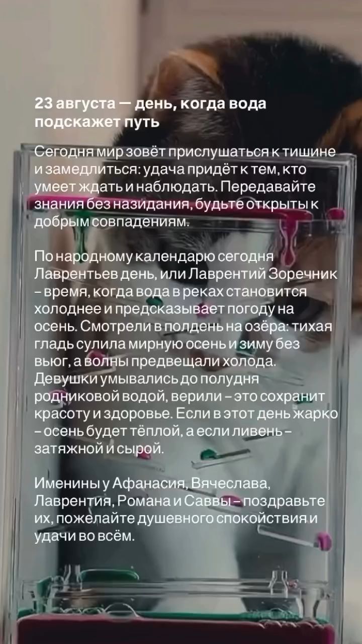 valkarat в LOOKY. . 