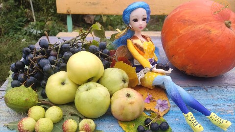 Anna Mirage в LOOKY. #кукла,#куклы,#doll,#шарнирныекуклы,#articulateddolls,#кукладлядуши,#куколки,#кукольныймир,#кукольнаяминиатюра,#кукольныефотосессии,#dollphotography,#dollcollector,#dollphotogallery,#ооак,#ooak,#dollart,#puppetminiature,#нарядыдлякукол,#одеждадлякукол,#dollclothes,#аксессуарыдлякукол,#кукольнаямода,#кукольнаяодежда,#кукольнаяобувь,#кукольныйгардероб,#кукольноеплатье,#кукольныйнаряд,#купава. Последний урожай 🌾�...