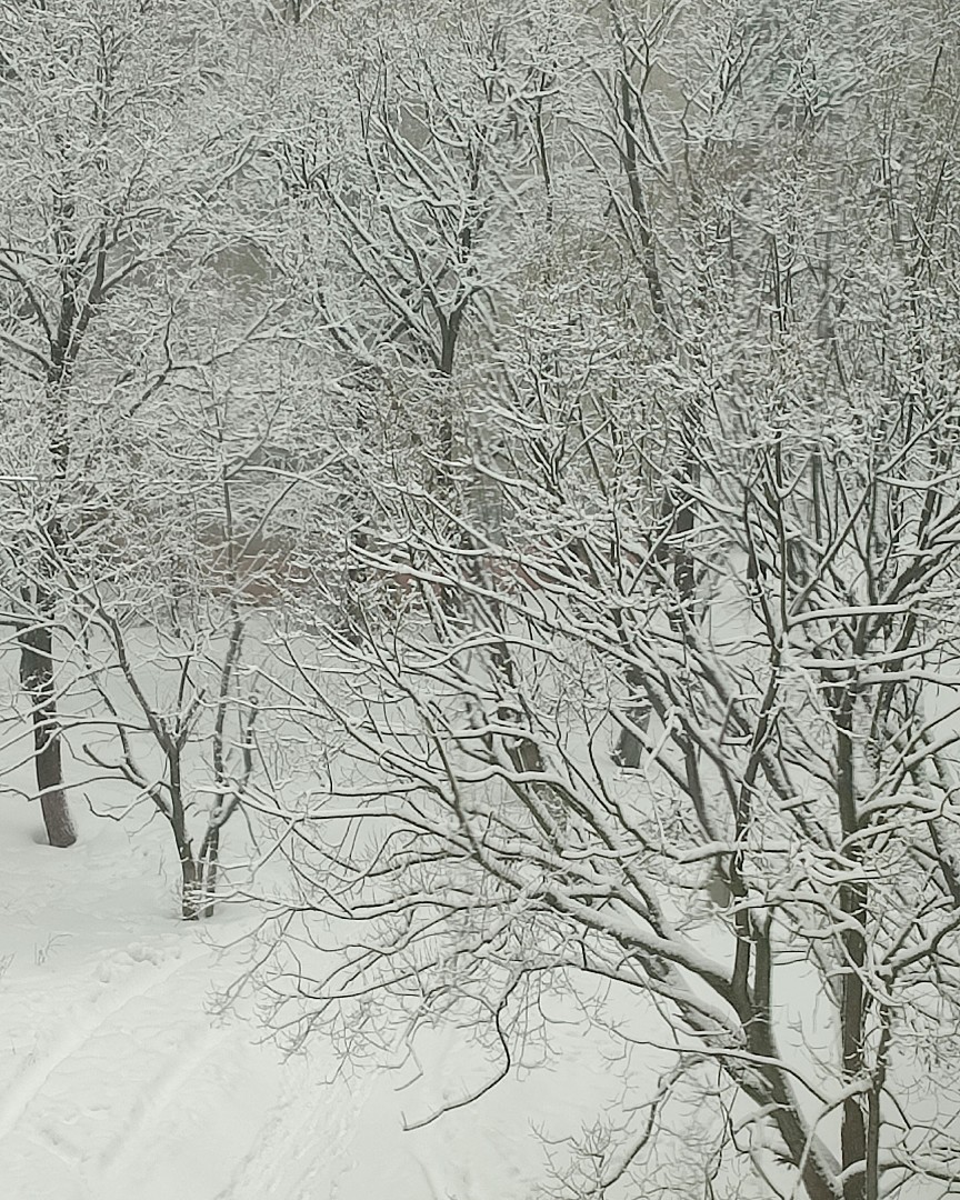 #5#марта#2023
А у нас опять зима❄🌨❄
Красота природы ❄❄❄