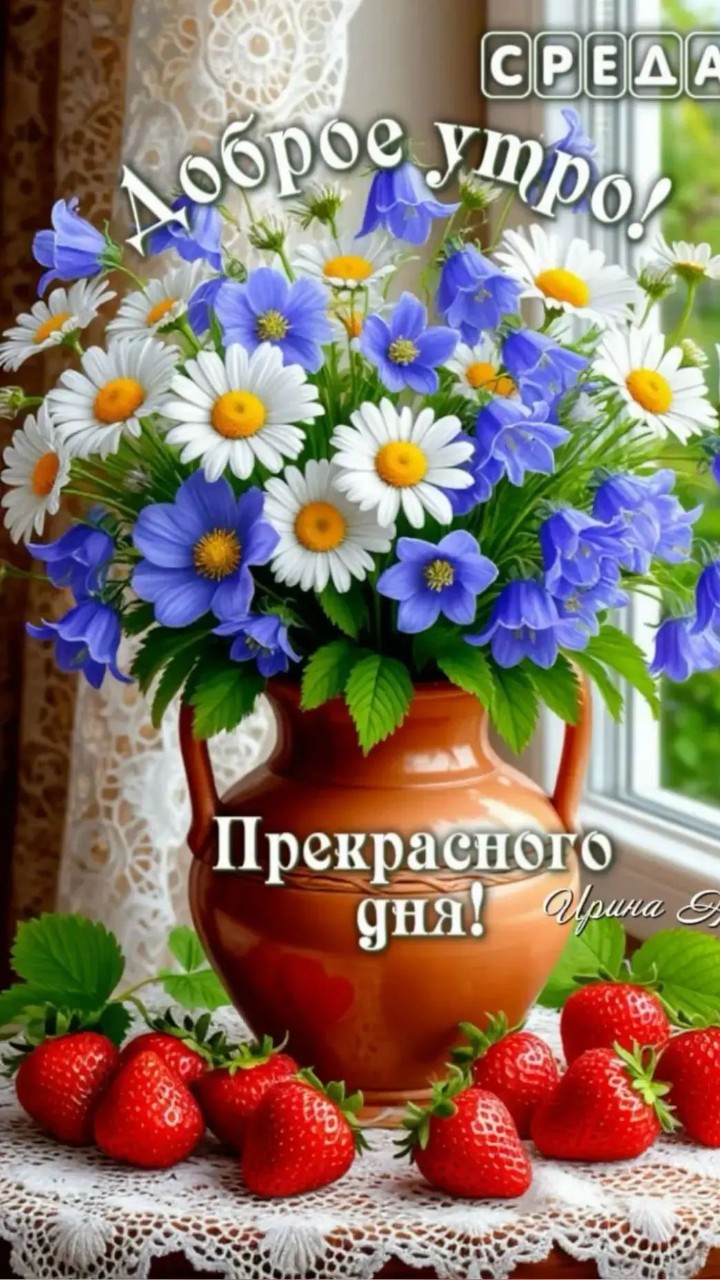 Сириус в LOOKY — публикация