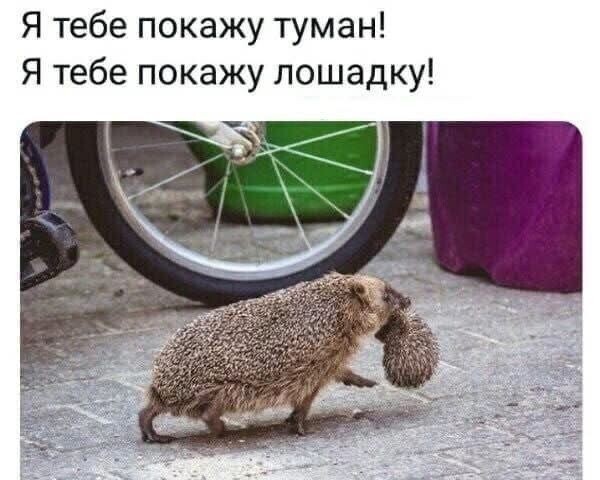 Looky_172389155958388
