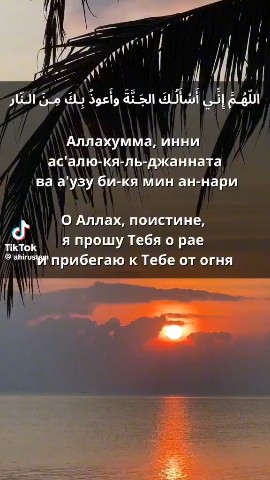 Морской Пёсик в LOOKY — публикация