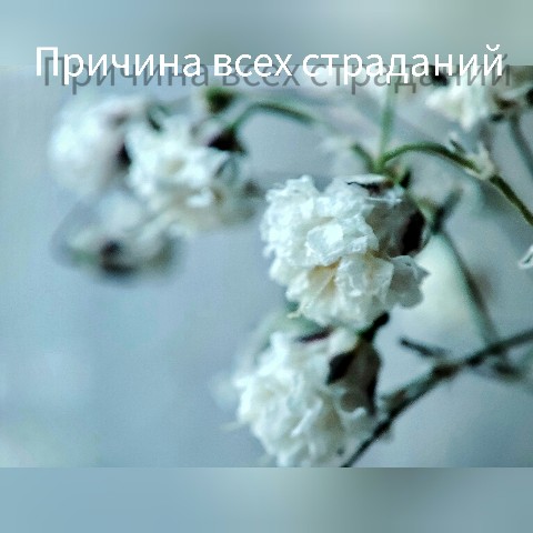 Irina_Sayanova в LOOKY. #мышлениеновоготысячелетия,#коуч,#коучинг,#реакти. ПРИЧИНА ВСЕХ СТРАДАН...