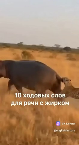 НП7 в LOOKY. . 
