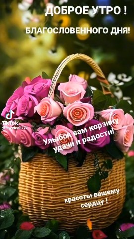 Looky_178922903825886 в LOOKY. . 
