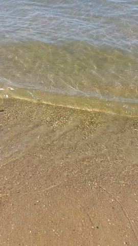 mon_jardin97 в LOOKY. . Анапа щедро одарила ...