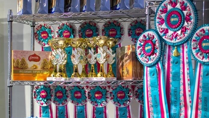 Альянс Ступино в LOOKY — фото 2