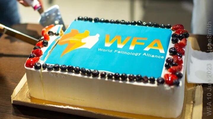 Альянс Ступино в LOOKY — фото 4