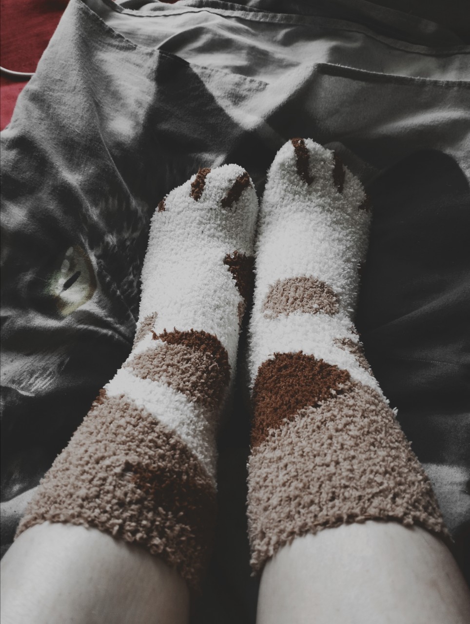 Котик🐈‍⬛