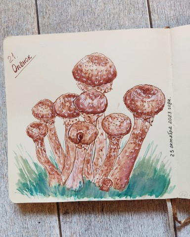 vikitasha89 в LOOKY. #infolio,#ташарисоваша,#скетчбук,#sketchbook,#vikitashaучитсярисовать,#ярисую,#какумеютакирисую,#inktober. Сегодня опята из зак...