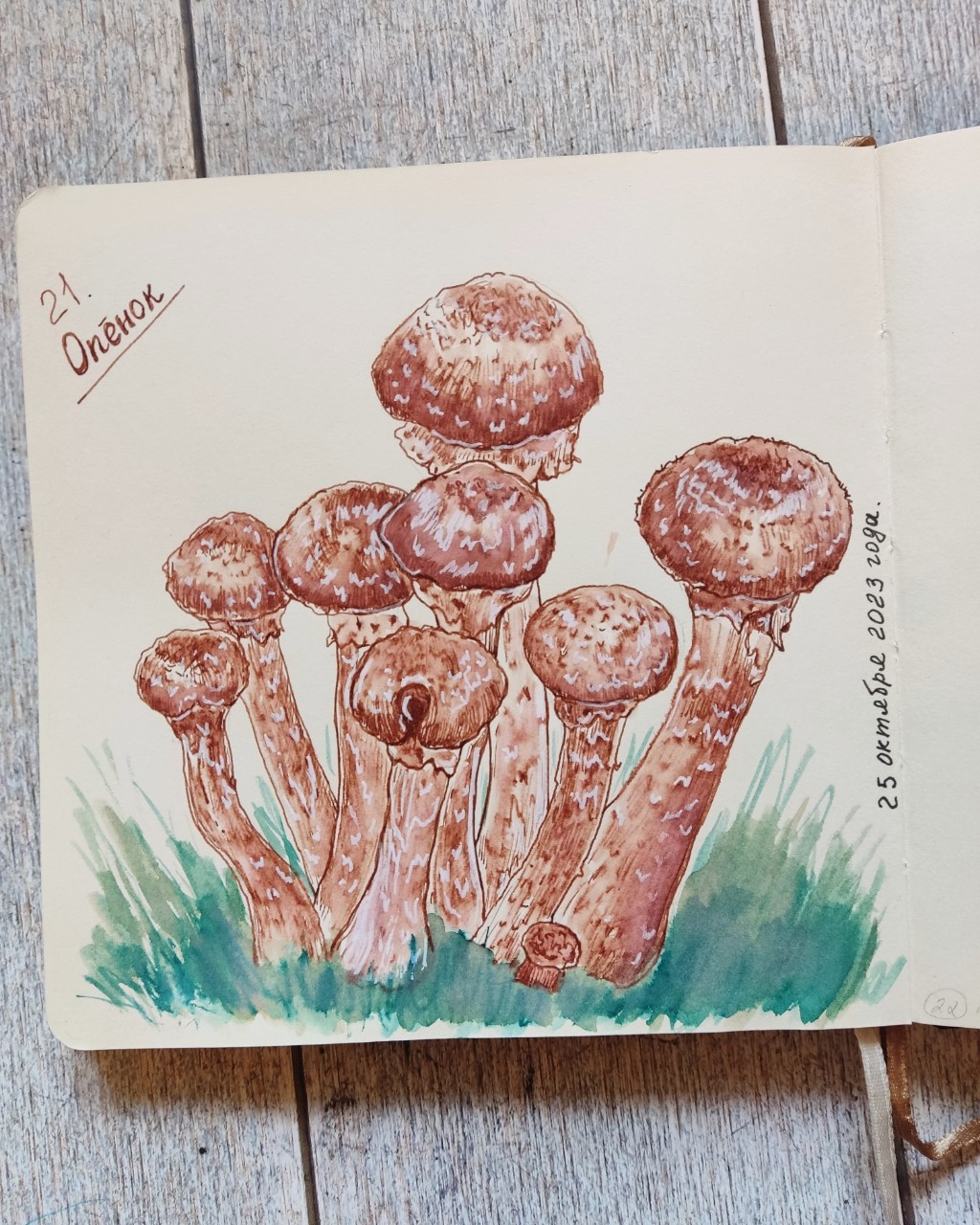 Сегодня опята из закромов.
А теперь подробно, чтобы не запутать..)) 
Это очень старый скетчбук от #infolio . В октябре 2022 года я рисовала в  нём альтернативный природный список. Естественно не дорисовала, оставила место для тем и до сих пор иногда  его порисовываю. 
Эти опята из октября 2023 года. Когда только появились чернила от Малевичъ и я их везде пробовала.)) Но они по списку выше в том самом блокноте. ) 
Маму тогда смутили цвета на рисунке и я не стала его выкладывать. 
А щас смотрю на него ожившими глазами.. А нечего! Пусть увидит свет! ))) 
#ташарисоваша #скетчбук #sketchbook #vikitashaучитсярисовать #ярисую #какумеютакирисую #inktober