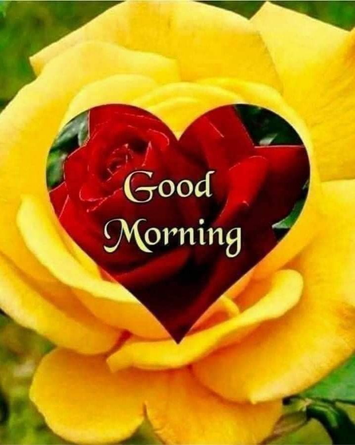 Francis in LOOKY. . Happy Morning ☕