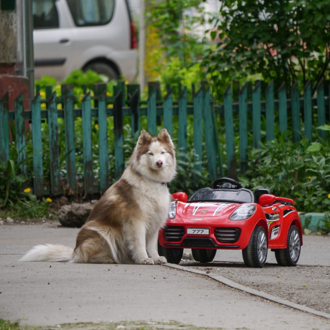 wettchinnikov in LOOKY. . [#wettschinnikov](we...