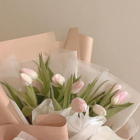 vi в LOOKY. . 이 침묵을 듣는 것이 너무 아파요 ....
