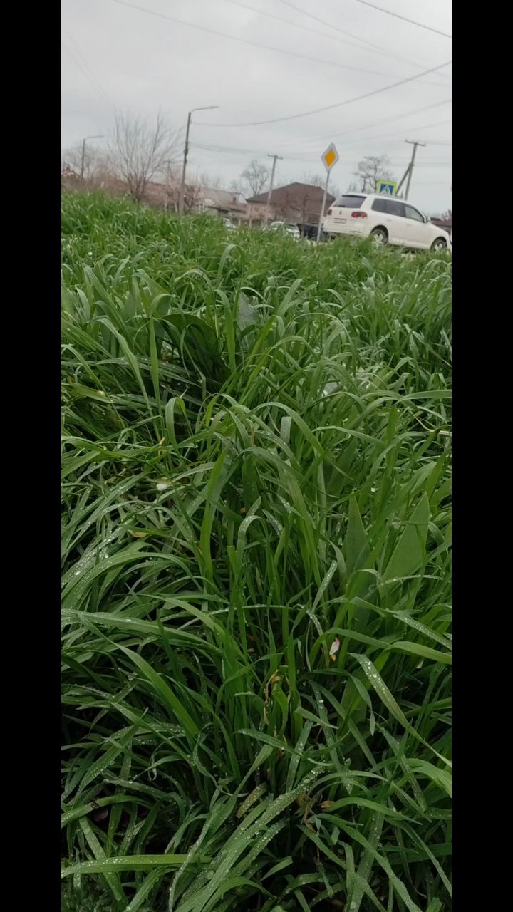 xah_6atoh в LOOKY. #Евпатория,#Крым
,#ХАНБАТОН,#XAH6ATOH,#Весна. Вот такой день, 31 м...