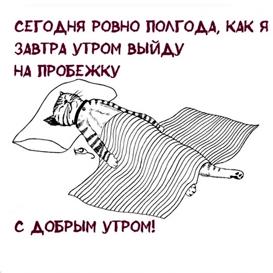  в LOOKY — [#доброеутро ](доброеутро)#юмор