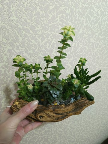 shurnovatatiana в LOOKY. . 