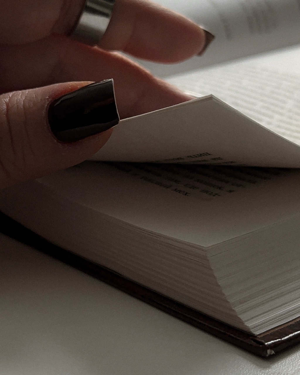 katarsis.prv в LOOKY — фото 2