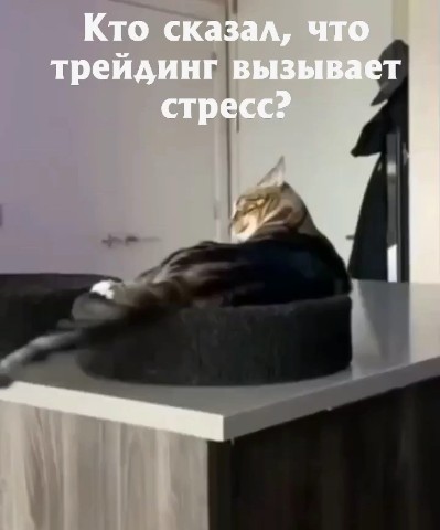 BTC_2TheMoon в LOOKY. #мем. Само спокойствие
#ме...