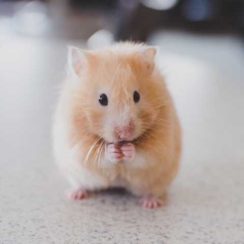 Looky_1711909261689 в LOOKY. . «Insanity does not r...