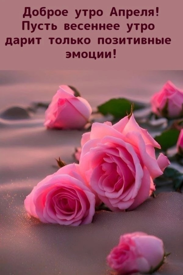 Галина Аллерт in LOOKY. . 