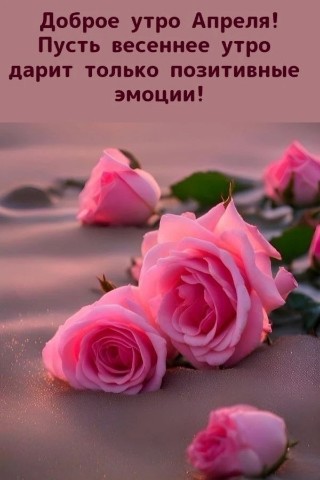 Галина Аллерт в LOOKY. . 