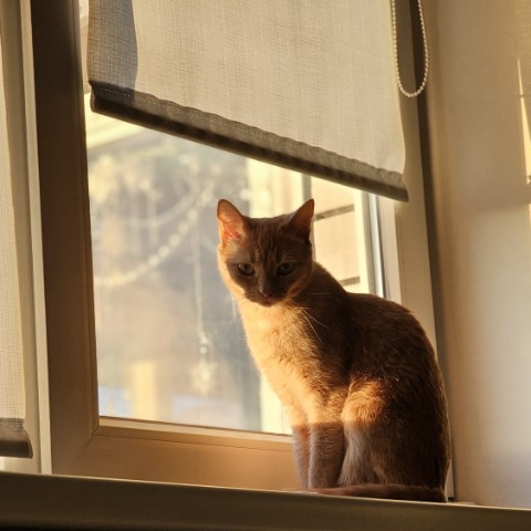 marina_kubichek в LOOKY. . 