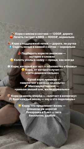 lifestyle influencer  блогерств в LOOKY. #233855851. Сколько стоит правил...