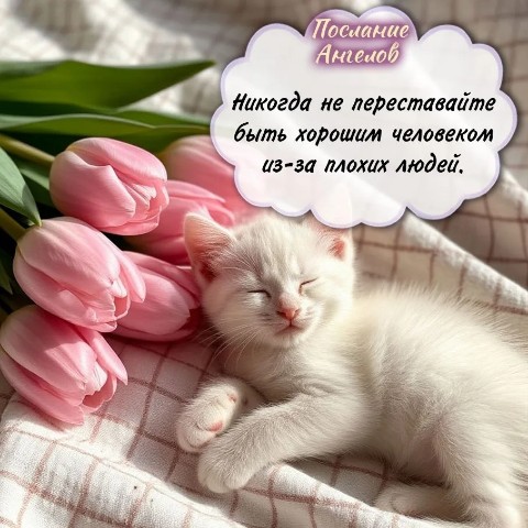 Ирина в LOOKY. #атоми#атомивозможности#атомиздоровье#атомикрасота. Никогда не перестава...