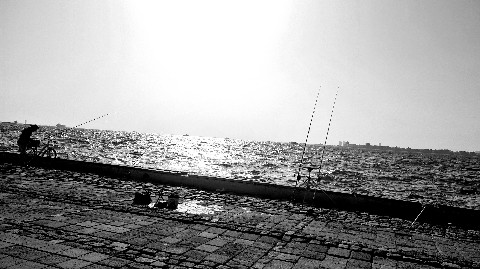 Dionysos в LOOKY. #sea,#fish,#Turkey. #sea #fish #Turkey