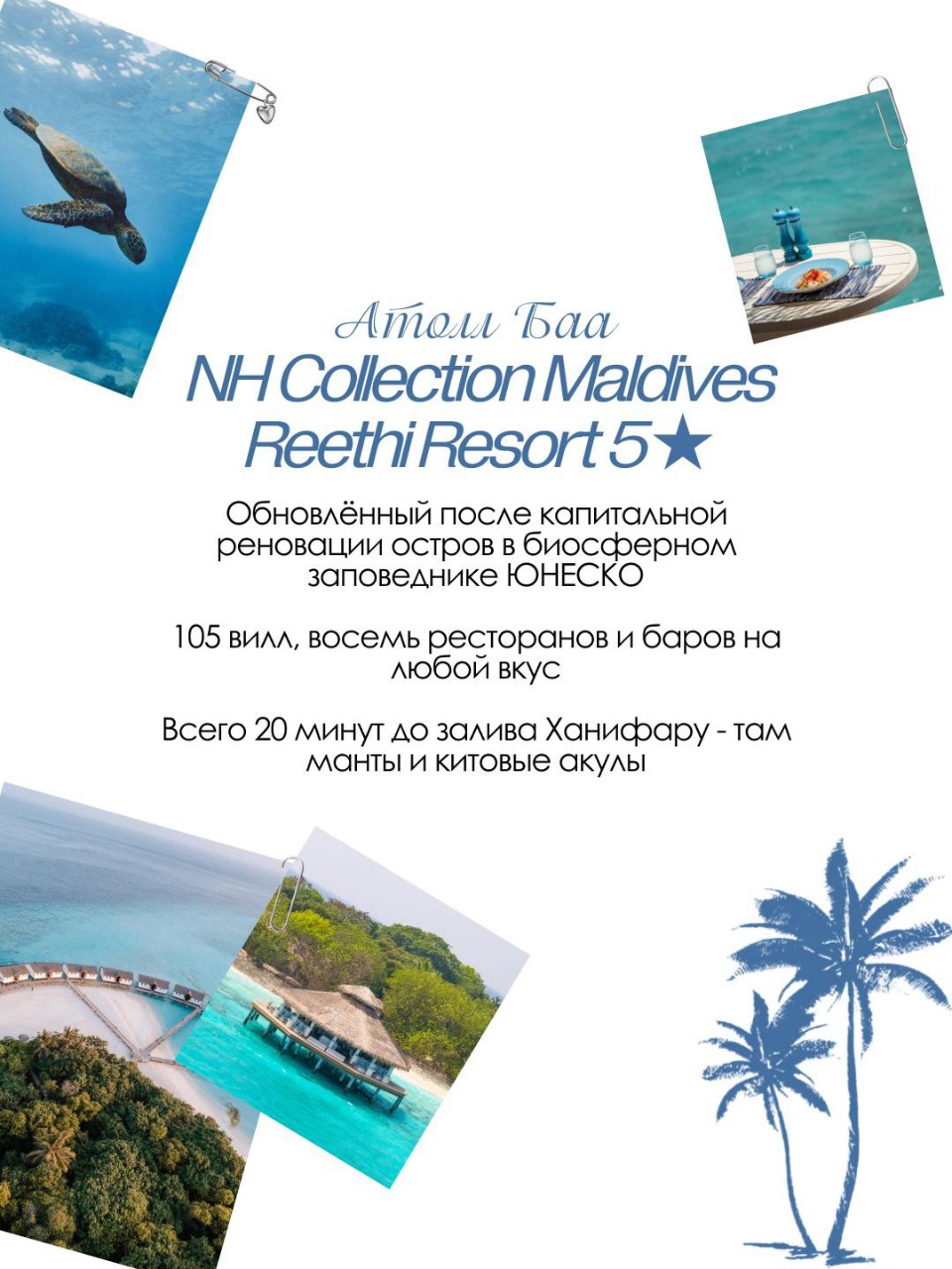 olga_turgid в LOOKY — фото 3