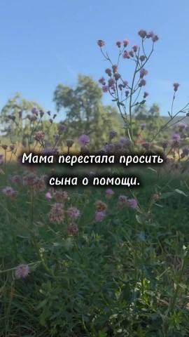 Tatiana Ubushaeva в LOOKY — публикация