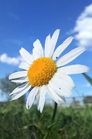 oksy2201 в LOOKY. . Дети не просят нас и...