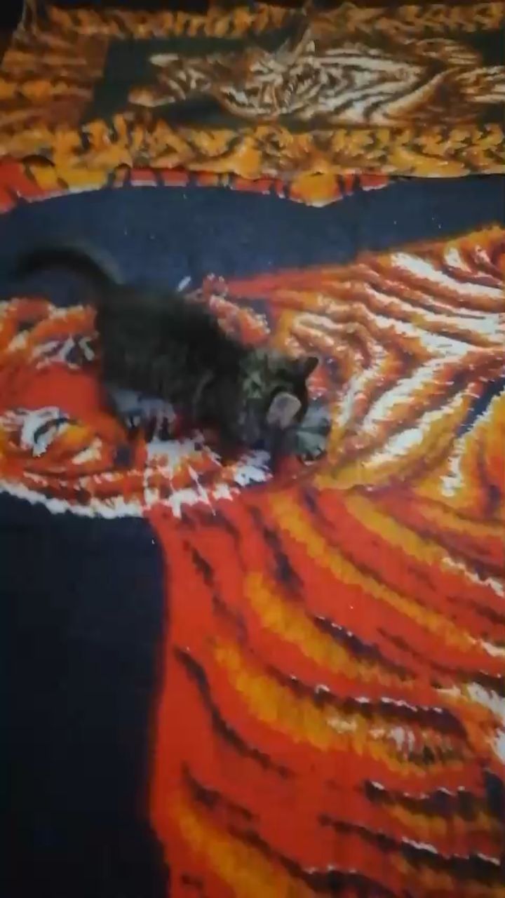 Сплочение в LOOKY. . 💖💖💖