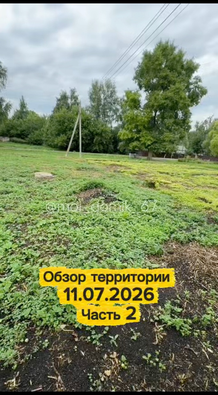  в LOOKY — Обзор территории 11.07.2026. Часть 2 #дом #дача #обзор #убор