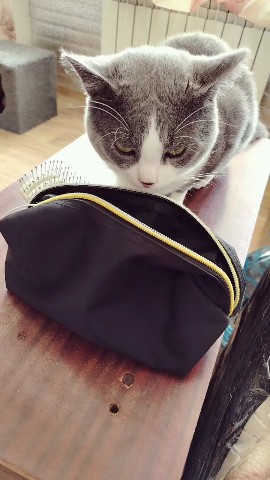 Вика Наумова в LOOKY. . Сладенький пирожочек...