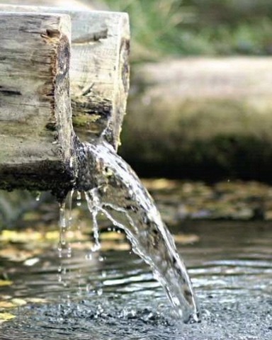 Ксения в LOOKY. . 💧Вода. Колыбель жиз...