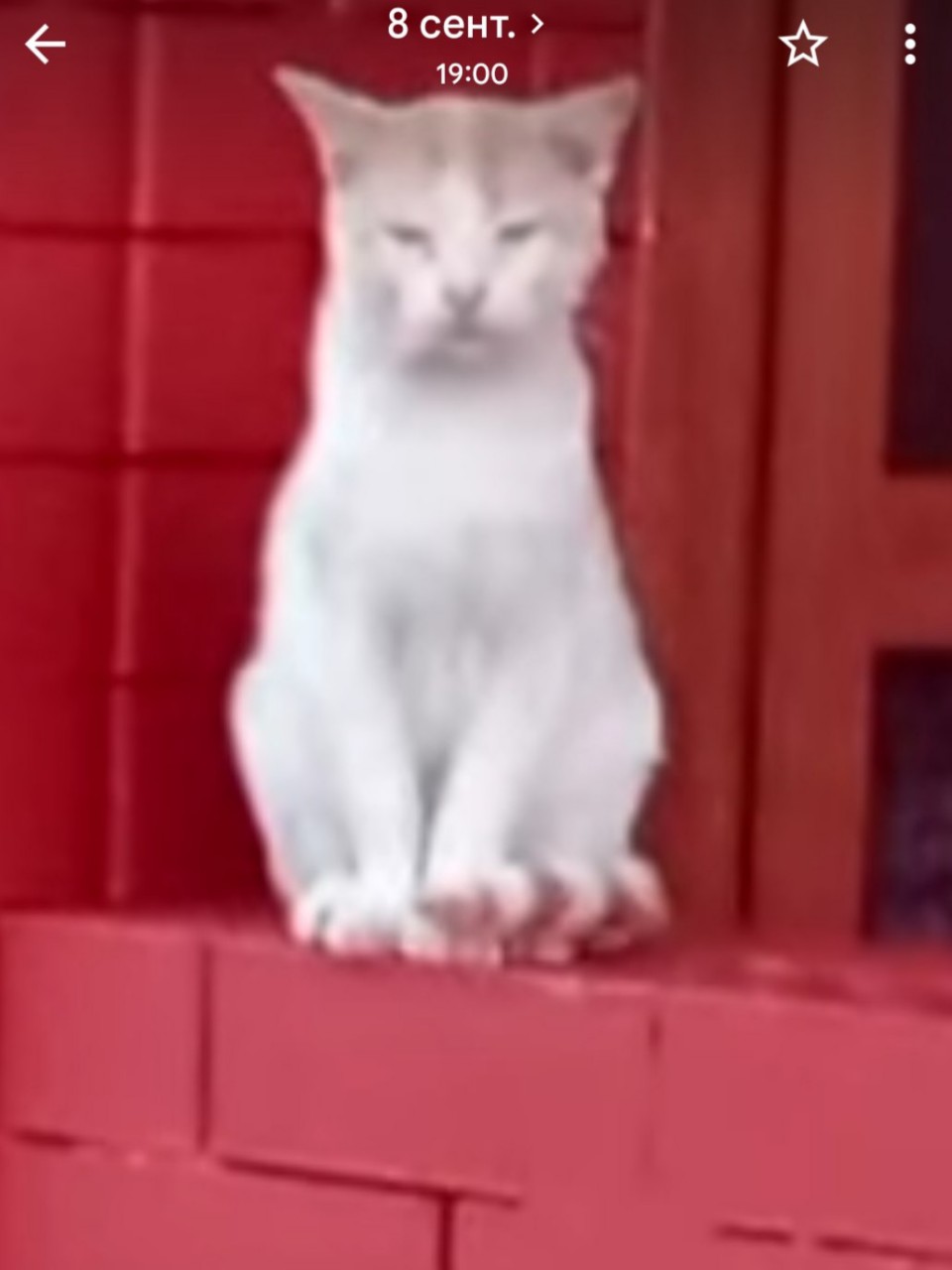  в LOOKY — публикация