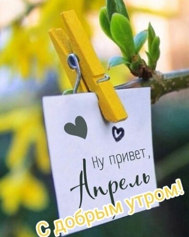 сайпел в LOOKY. . [#мем](мем) 