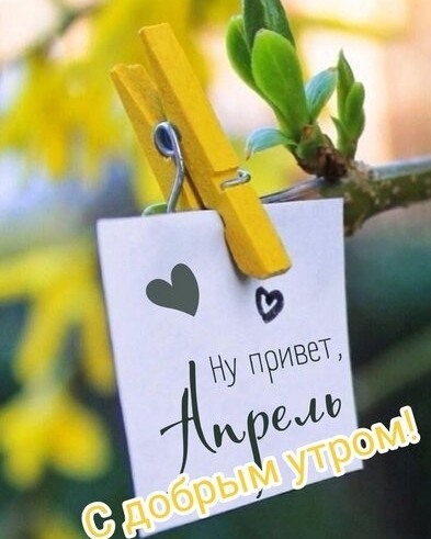 сайпел в LOOKY — [#мем](мем) 