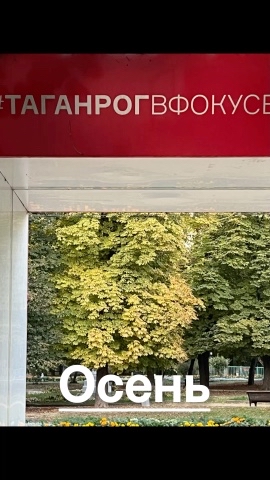 Flen в LOOKY. . Таганрог, золотая ос...