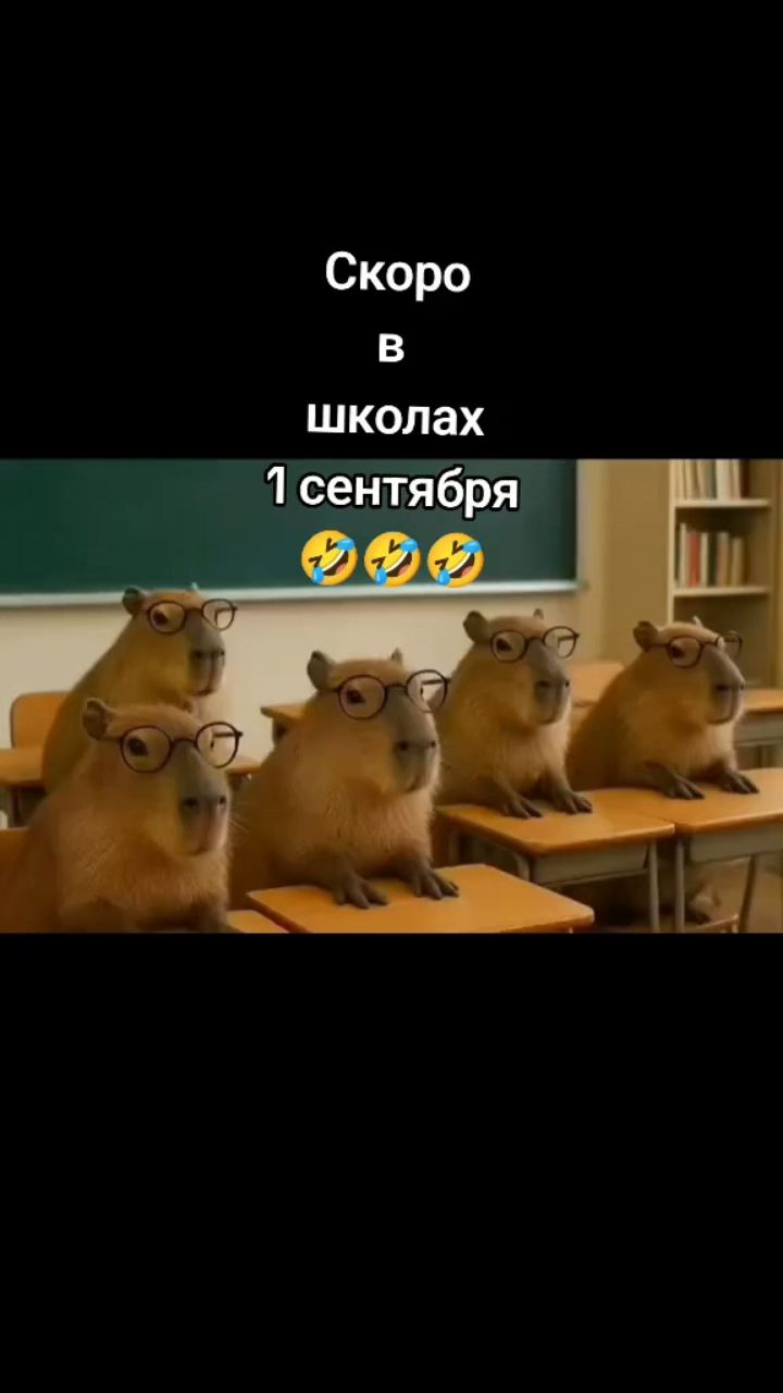 Looky_177979092175043 в LOOKY. . 